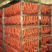 MAUTING KMD